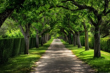 Obraz premium Germany, Mecklenburg-Western Pomerania, Ruegen, Bergen, Alley, cobblestone street. Beautiful simple AI generated image in 4K, unique.
