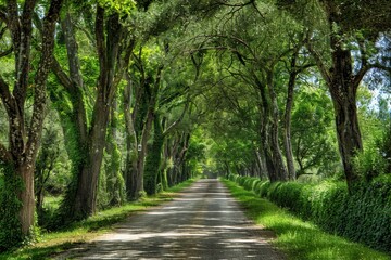 open-air park with green trees close-up . Beautiful simple AI generated image in 4K, unique.