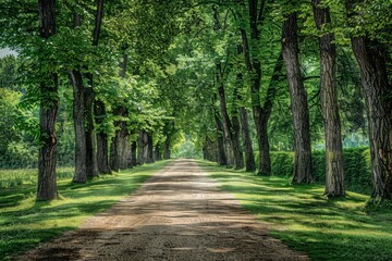 Fototapeta premium Tunnel-like Avenue of green Trees, Tree Footpath through Park in Spring. Beautiful simple AI generated image in 4K, unique.