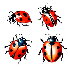 An illustration depicting a variety of ladybug insects. Beautiful bright beetles on a white background. A large set with flying insects.
