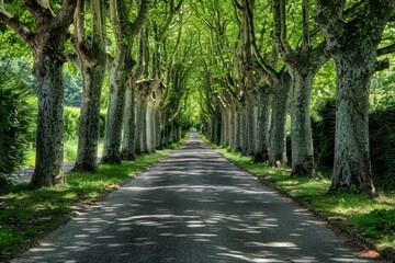 Tunnel-like lime tree avenue in spring, fresh green foliage. Beautiful simple AI generated image in 4K, unique.