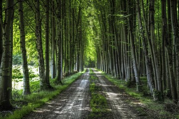 Obraz premium Cobblestone Lane, Island of Ruegen, Mecklenburg-Western Pomerania, Germany. Beautiful simple AI generated image in 4K, unique.