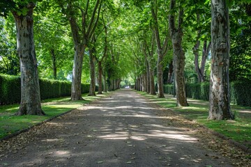 Fototapeta premium Route Arrossa Jean-Paul. Beautiful simple AI generated image in 4K, unique.