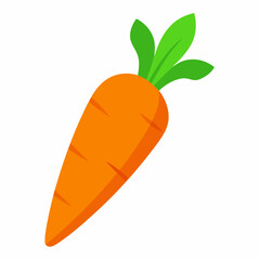 Carrot  art vector illustrator