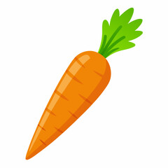 Carrot  art vector illustrator