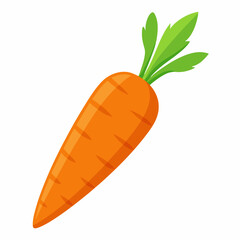 Carrot  art vector illustrator