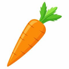 Carrot  art vector illustrator
