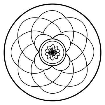 recommend clip art: An anemone flower line art in the middle art vector illustrator