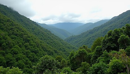 Fototapeta premium Enchanting mountain valley a serene natural haven
