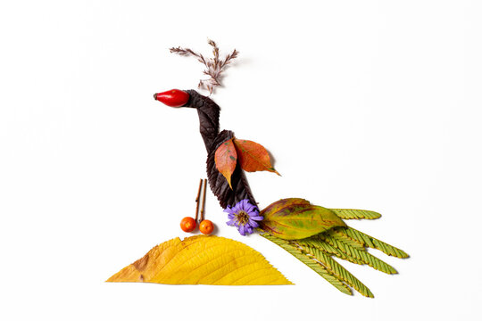 autumn, creative ideas from colorful autumnal leaves for children, isolated,peacock with long tail