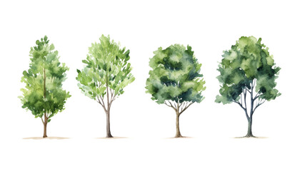 tree set watercolor isolated on transparent background cutout