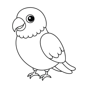 recommend clip art: Lovebird Outline Design, Lovebird Clipart, Cute Baby Lovebird illustration in black and white