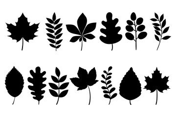 Black autumn leaf silhouettes collection. Fall leaves foliage silhouettes isolated on white background