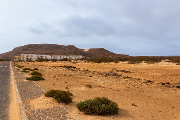 landscape in the desert
