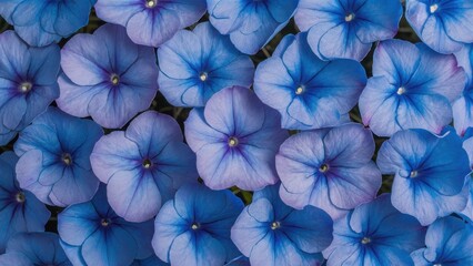 A close up of a bunch of blue flowers with purple centers, AI