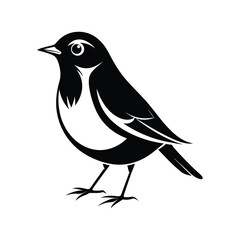 American Robin vector art silhouette. logo  design black and white 