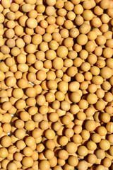 Detail of a surface covered with uncooked dry soybeans