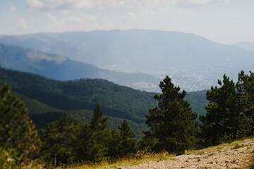 landscape in the morning