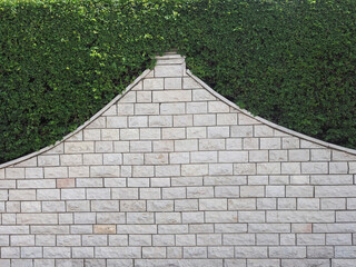 Combined fence made of stone and bushes