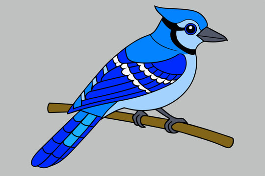 recommend clip art: Kawaii Blue Jay Perched on a Branch Vector Illustration Clipart
