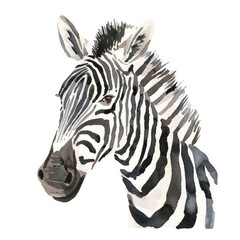 Fototapeta premium Minimalist Watercolor Illustration of a Majestic Zebra Black and White Elegance in the Wild
