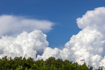 Lush big cumulus clouds in blue sky above forest