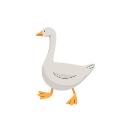 Cute gray goose, character on white background. Vector illustration