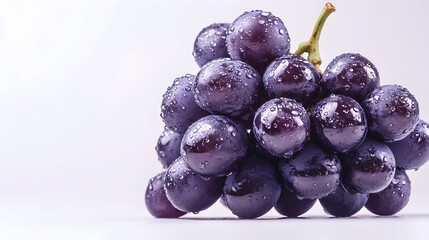 Closeup of Fresh and Ripe Purple Grape Clusters on Vine