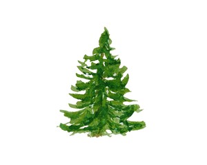 Watercolor isolated green Christmas tree hand drawn White background