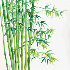 Lush Bamboo Minimalist Watercolor Painting