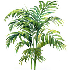 Obraz premium Lush Parlor Palm Minimalist Watercolor Painting
