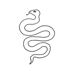 Snake, poisonous, scaly. Reptile. Doodle. Vector illustration. Hand drawn. Outline.