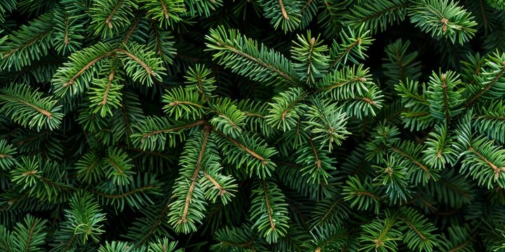A detailed closeup shot of a pine branch beautifully showcases the vibrant green needles, while also highlighting the intricate texture and the rich colors found in the lush foliage surrounding it