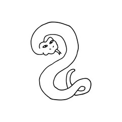 Snake, poisonous, scaly. Reptile. Doodle. Vector illustration. Hand drawn. Outline.