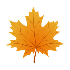 Autumn maple leaf. Hand drawn trendy flat style isolated. autumn leaf, golden season. Vector illustration