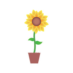 Sun flower illustration.