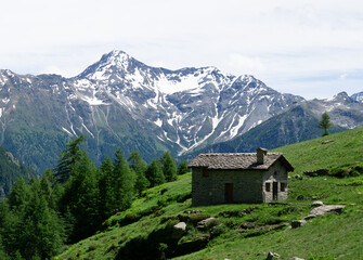 The Alpe Ledine with its typical houses and high mountain pastures, near the town of Chiavenna, Lombardy - June 15, 2024