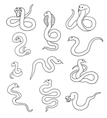 Set snakes, poisonous, scaly. Reptiles. Doodle. Vector illustration. Hand drawing. Outline.
