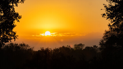 African, Sunset near Lower-Sabie in the Kruger National Park, Mpumalanga, South Africa 