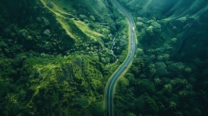 Photo of Green Landscape. Aerial View of Winding Road with Lush Green Forest