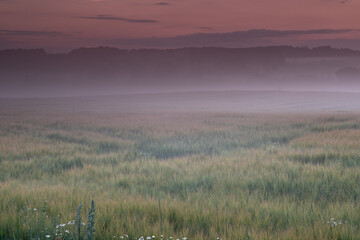 Morning, misty and countryside sunrise in nature, surreal landscape and or colourful sky or clouds. Purple hue, atmospheric phenomena and rural environment, lush vegetation and calm for growth