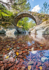 The Tartagine river flowing over colourful red pebbles and under an ancient Genoese bridge...