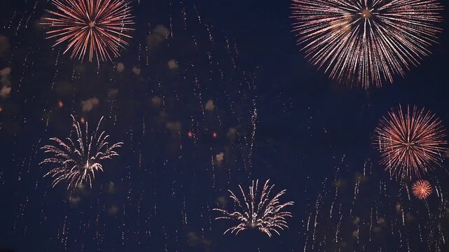 打ち上げ花火／美しく弾ける火の粉