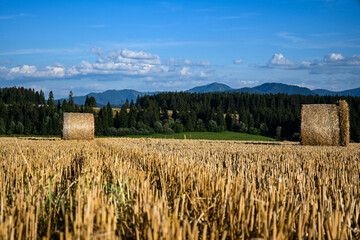 Golden harvested field with hay bales under a cloudy blue sky in summer