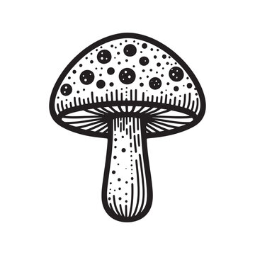 recommend clip art: Mushroom line art Vector Illustration