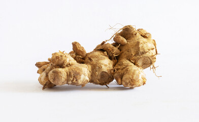 ginger root isolated. traditional herb