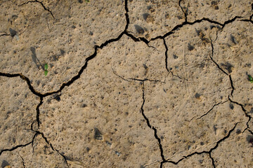 background, texture of dried ground close-up