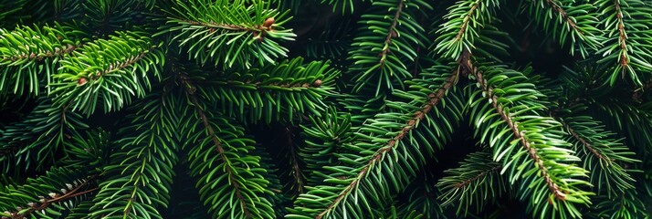 This captivating closeup image of vibrant green pine branches showcases the rich color and texture of fresh needles. Ideal for nature enthusiasts, it emphasizes outdoor beauty and intricate details