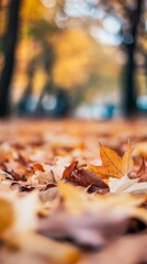 Bokeh effect defocused view of the colorful leaves in the autumn park. Fall forest background