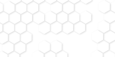 Fototapeta premium Abstract white hexagon pattern background.Hexagonal grid tile and mosaic structure mess cell.Abstract white hexagon concept background,Abstract white lines background,